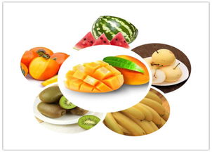 中醫(yī)養(yǎng)生保健 守護(hù)健康，傳承智慧